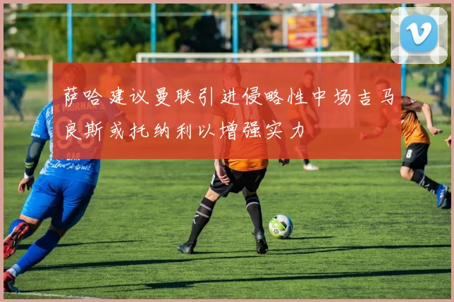 萨哈建议曼联引进侵略性中场吉马良斯或托纳利以增强实力